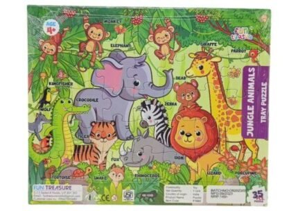 Tray puzzle